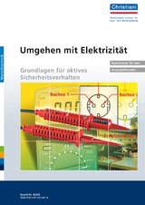 Umgehen mit Elektrizität - Grundlagen für aktives Sicherheitsverhalten - Manfred Hartmann