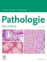 Lehrbuch Pathologie - Höfler, Gerald; Kreipe, Hans; Moch, Holger; Böcker, Werner