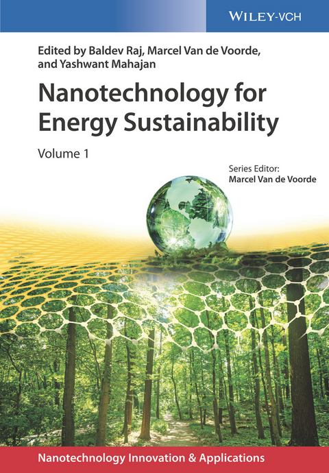 Nanotechnology for Energy Sustainability - 