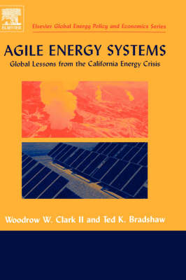 Agile Energy Systems - Woodrow W. Clark II, Ted Bradshaw